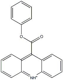  9-(Phenoxycarbonyl)acridinium