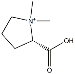 (S)-2-Carboxy-1,1-dimethylpyrrolidinium,,结构式