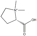  (S)-2-Carboxy-1,1-dimethylpyrrolidinium