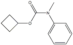 N-メチル-N-フェニルカルバミド酸シクロブチル 化学構造式