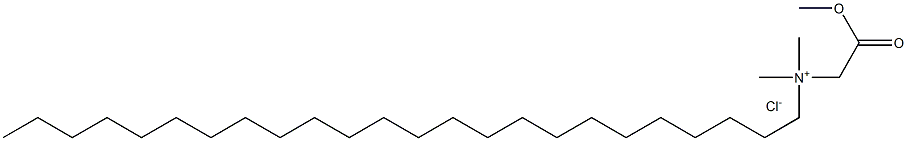 N-(メトキシカルボニルメチル)-N,N-ジメチル-1-テトラコサンアミニウム·クロリド 化学構造式