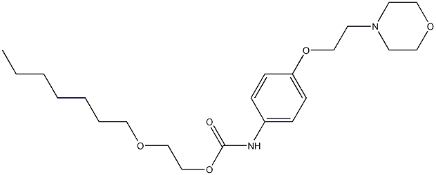 4-(2-Morpholinoethoxy)phenylcarbamic acid 2-(heptyloxy)ethyl ester Structure