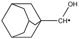  (Adamantan-1-yl)hydroxymethyl radical