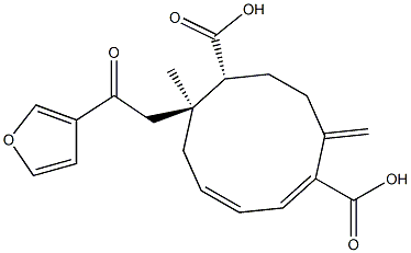 (1E,3Z,6S,7R)-6-[2-オキソ-2-(3-フリル)エチル]-6-メチル-10-メチレン-1,3-シクロデカジエン-1,7-ジカルボン酸 化学構造式