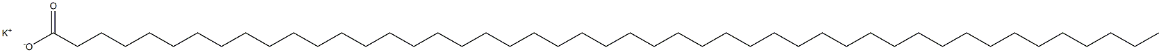 Heptatetracontanoic acid potassium salt Structure