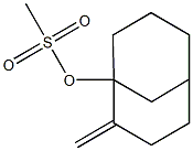1-(Methanesulfonyloxy)-2-methylenebicyclo[3.3.1]nonane Structure
