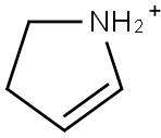 Pyrrolinium ion 结构式