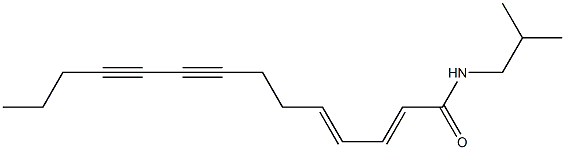 (2E,4E)-N-(2-メチルプロピル)-2,4-テトラデカジエン-8,10-ジインアミド 化学構造式