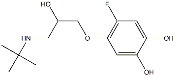  4-(3-tert-Butylamino-2-hydroxypropyloxy)-5-fluorobenzene-1,2-diol