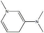 1-Methyl-3-(dimethylamino)-1,4-dihydropyridine|