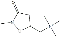 Trimethyl[(2-methyl-3-oxoisoxazolidin-5-yl)methyl]aminium,,结构式