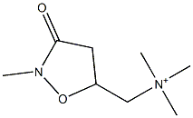 Trimethyl[(2-methyl-3-oxoisoxazolidin-5-yl)methyl]aminium