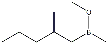 (2-Methylpentyl)(methyl)(methoxy)borane|