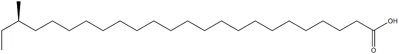 (R)-22-Methyltetracosanoic acid 结构式