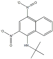 1-(tert-Butyl)amino-2,4-dinitronaphthalene Struktur