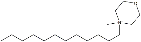 4-ドデシル-4-メチルモルホリニウム 化学構造式