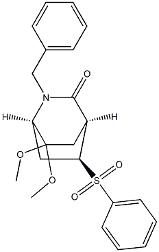 (1R,4S,5S)-2-ベンジル-7,7-ジメトキシ-5-(フェニルスルホニル)-2-アザビシクロ[2.2.2]オクタン-3-オン 化学構造式