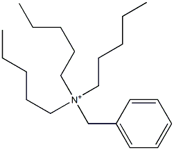 Tripentylbenzylaminium Structure