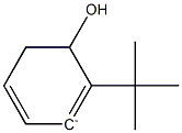 2-(1,1-Dimethylethyl)phenol anion