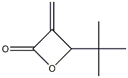 4-tert-Butyl-3-methyleneoxetan-2-one Struktur