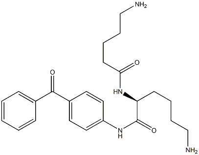 4-(N2-(5-Aminovaleryl)-L-lysylamino)benzophenone Structure