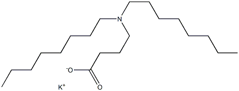 4-(ジオクチルアミノ)酪酸カリウム 化学構造式