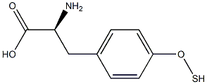 O-卞基-L-酪氨酸,,结构式