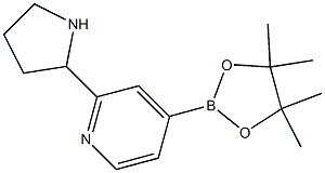  4-(4,4,5,5-tetraMethyl-1,3,2-dioxaborolan-2-yl)-2-(pyrrolidin-2-yl)pyridine