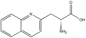3-(2-喹啉基)-D-丙氨酸
