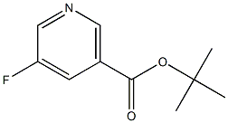 5-Fluoro-nicotinic acid tert-butyl ester,,结构式