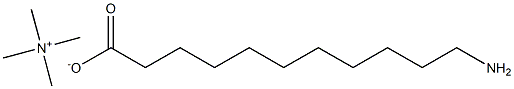 11-AMINOUNDECANOIC ACID TETRAMETHYLAMMONIUM SALT