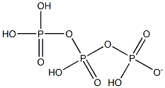 trihydrogen triphosphate ion