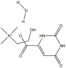 CHOLINE OROTATE MONOHYDRATE