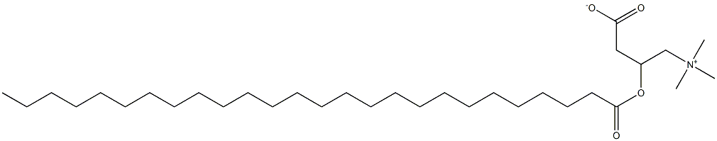 hexacosanoyl carnitine,,结构式