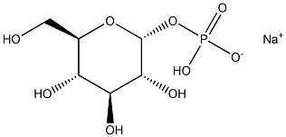 A-D-GLUUCOSE-1-PHOSPHATE MONOSODIUM SALT|