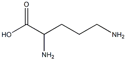 2,5-二胺戊酸 结构式