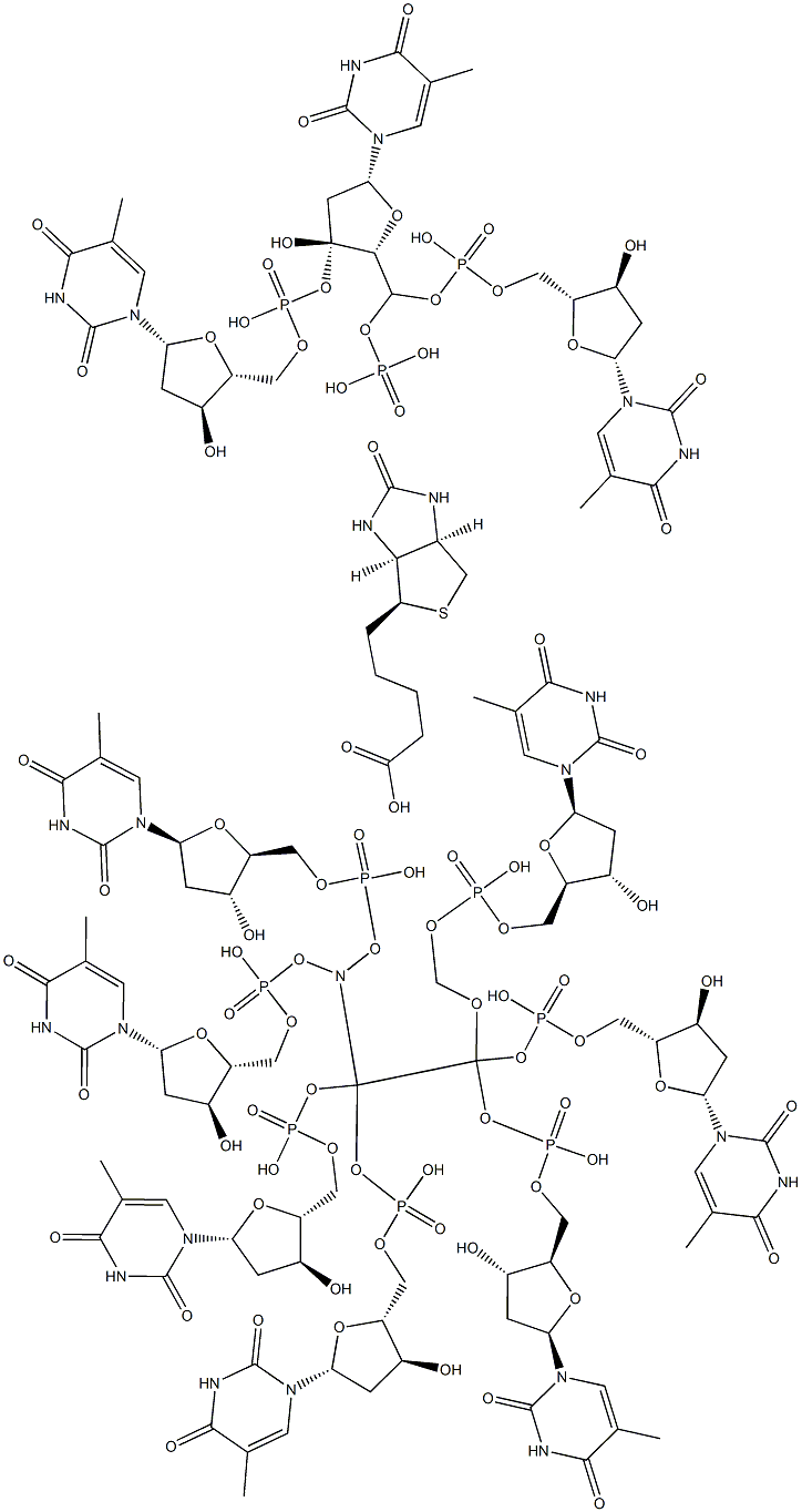 3'-methoxyethylamine-5'-biotin-decathymidylic acid,,结构式