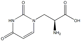 (S)-WILLARDIINE, >98% Structure