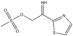 2-{[(methylsulfonyl)oxy]ethanimidoyl}-1,3-thiazole Struktur