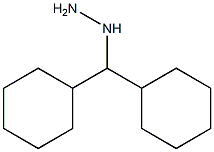 1-(dicyclohexylmethyl)hydrazine 化学構造式