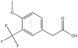 2-(3-(trifluoromethyl)-4-methoxyphenyl)acetic acid,,结构式