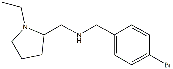 [(4-bromophenyl)methyl][(1-ethylpyrrolidin-2-yl)methyl]amine|