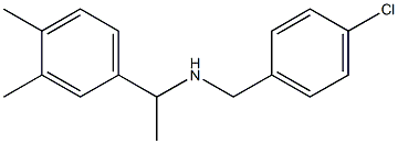  [(4-chlorophenyl)methyl][1-(3,4-dimethylphenyl)ethyl]amine