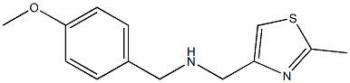 [(4-methoxyphenyl)methyl][(2-methyl-1,3-thiazol-4-yl)methyl]amine,,结构式