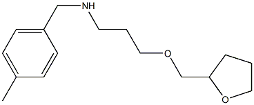 [(4-methylphenyl)methyl][3-(oxolan-2-ylmethoxy)propyl]amine Struktur