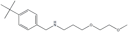 [(4-tert-butylphenyl)methyl][3-(2-methoxyethoxy)propyl]amine Struktur