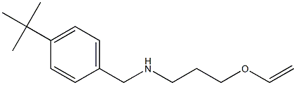 [(4-tert-butylphenyl)methyl][3-(ethenyloxy)propyl]amine Struktur
