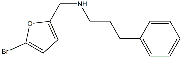 [(5-bromofuran-2-yl)methyl](3-phenylpropyl)amine 化学構造式