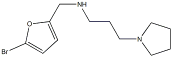 [(5-bromofuran-2-yl)methyl][3-(pyrrolidin-1-yl)propyl]amine,,结构式