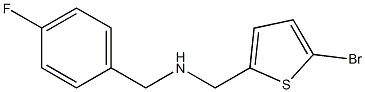 [(5-bromothiophen-2-yl)methyl][(4-fluorophenyl)methyl]amine 结构式